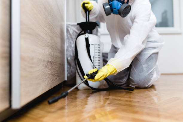 Best Mosquito Control Services  in Johnston, SC