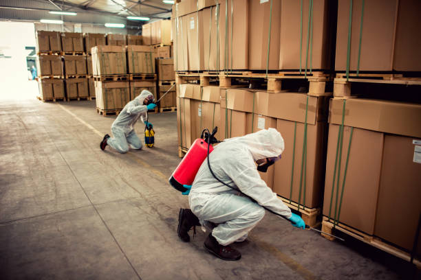 Best Exterminator Services  in Johnston, SC