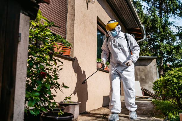 Best Bed Bug Extermination  in Johnston, SC