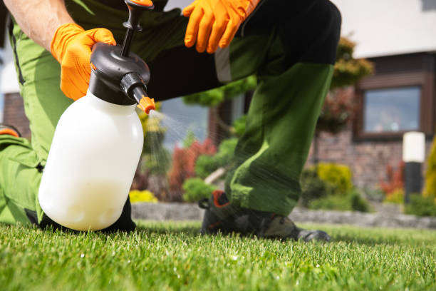 Best Wasp Removal Services  in Johnston, SC