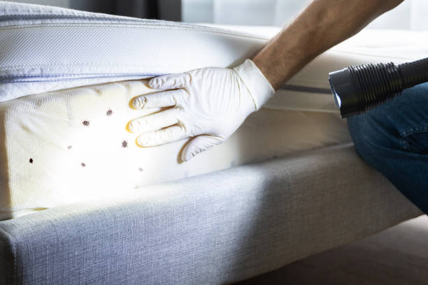 Best Emergency Pest Control  in Johnston, SC