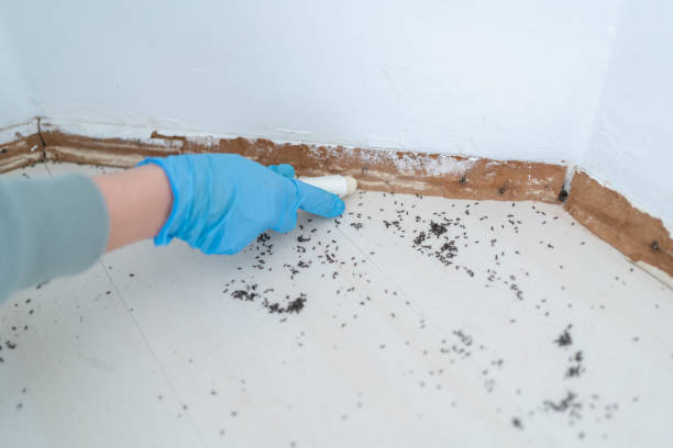 Best Affordable Pest Control Services  in Johnston, SC